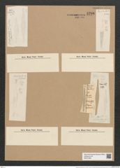 Rhaphoneis lancettula Grun. (de-Toni-Nr.: Genus 78, Species 2839) Zeichnungen Sammlung Grunow Nr. 5798 (NHMW-BOT-W0374206)